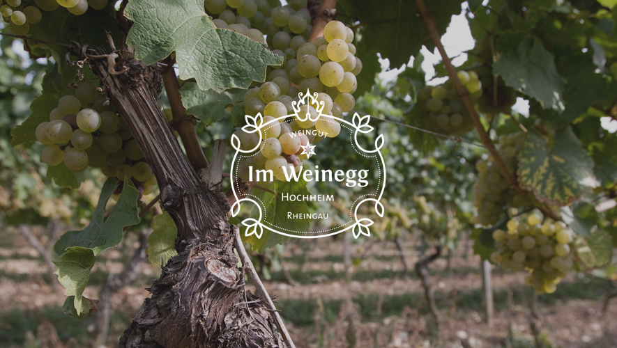 (c) Weingut-weinegg.de